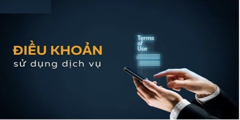 điều kiện điều khoản 